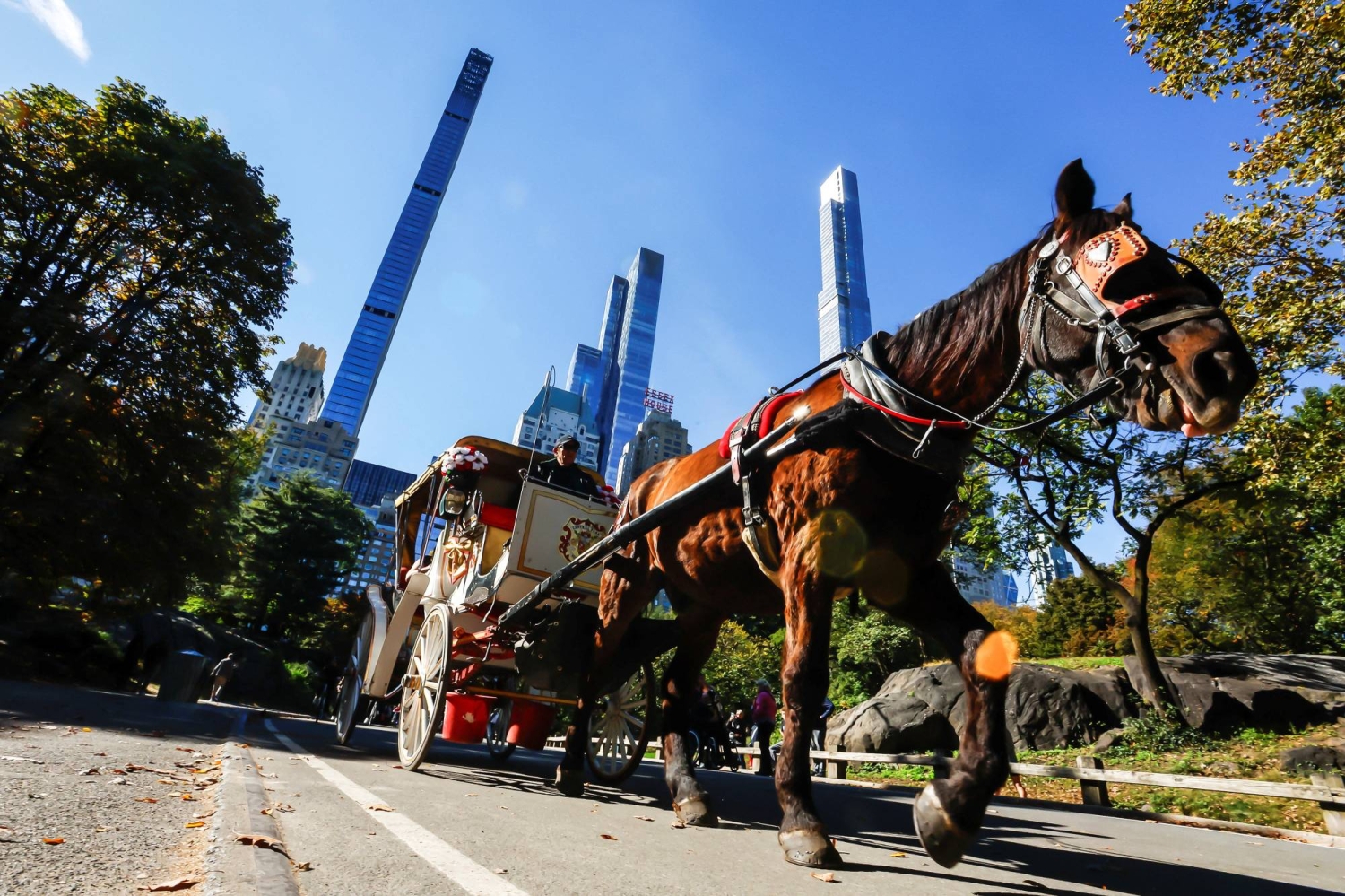 New York bans horse-drawn carriages after decadelong battle New York's City Council voted 40 to 7 to pass the bill…
