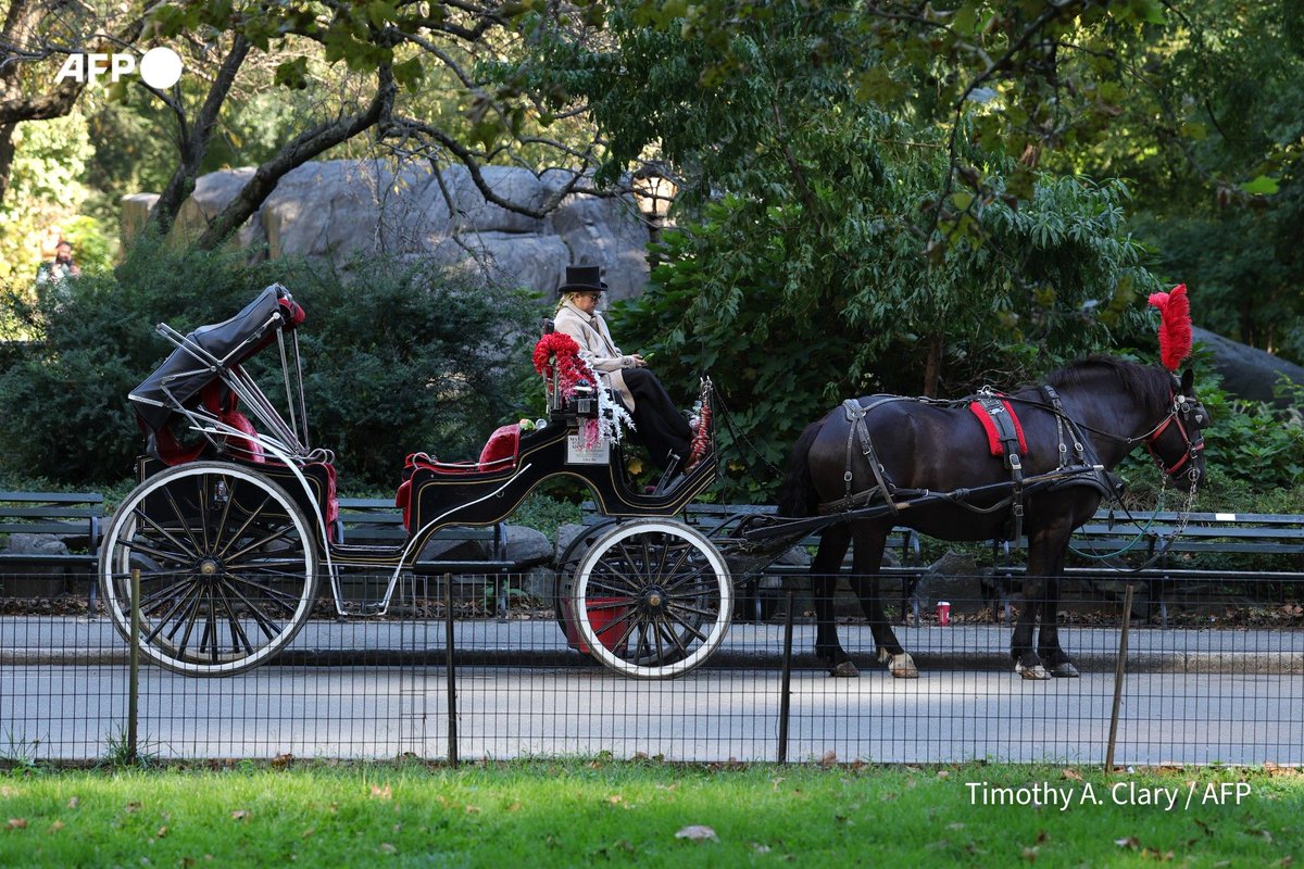 New York votes to ban Central Park horse carriages after decades of debate. If the mayor signs it, the ban will go…
