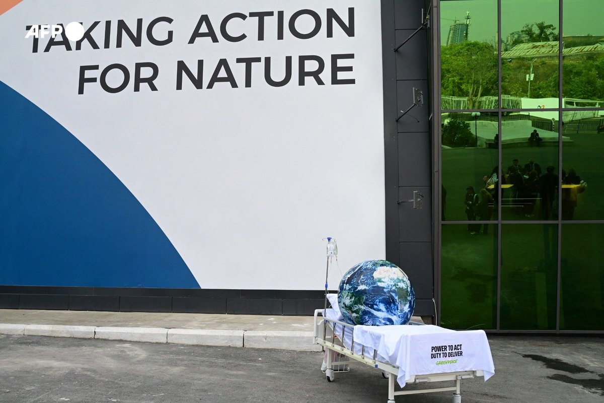 The UN biodiversity summit spilled into overtime Friday, pushing negotiations into the night as nations wrangled over…