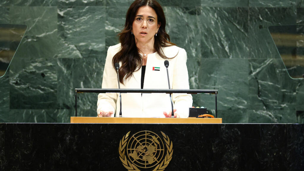 Emirati diplomat could become next UN chief despite human rights concerns Human rights defenders are sounding the…