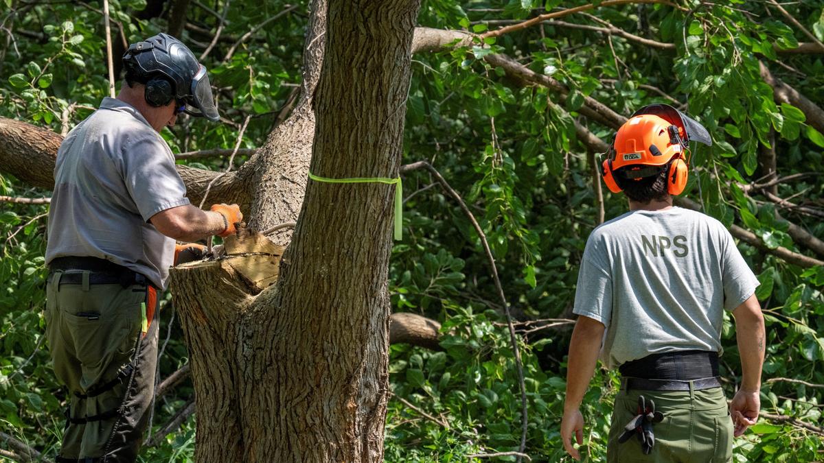 U.S. judge halts tree-cutting at Trump’s golf course project District Judge Ana Reyes ordered a halt after more than…