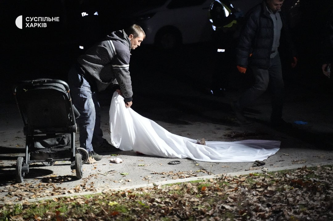 Russian strikes kill woman in Kyiv, destroy data centre; six die in Kharkiv-region park