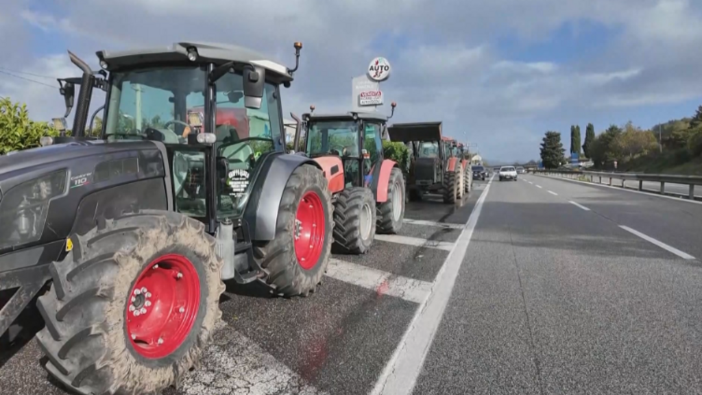 Italy's trucker protests halt buffalo mozzarella production, cost producers €3m A daily update on the latest business…