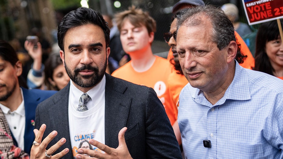 Mamdani-backed congressional candidate says he was detained by Israeli military Brad Lander says he was detained by…