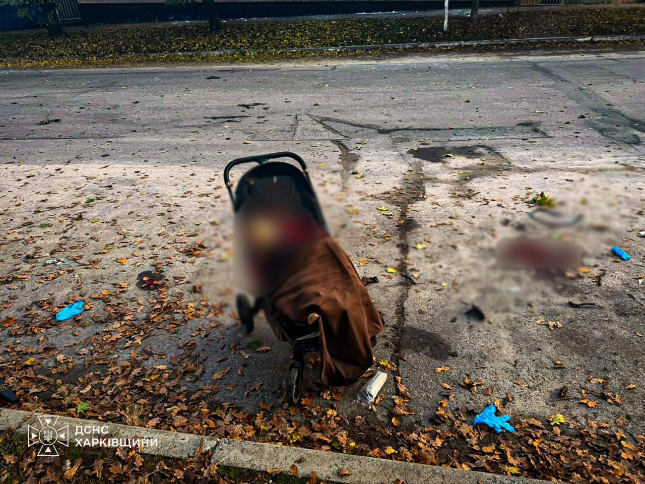 Russian strikes kill woman in Kyiv, destroy data centre; six die in Kharkiv-region park