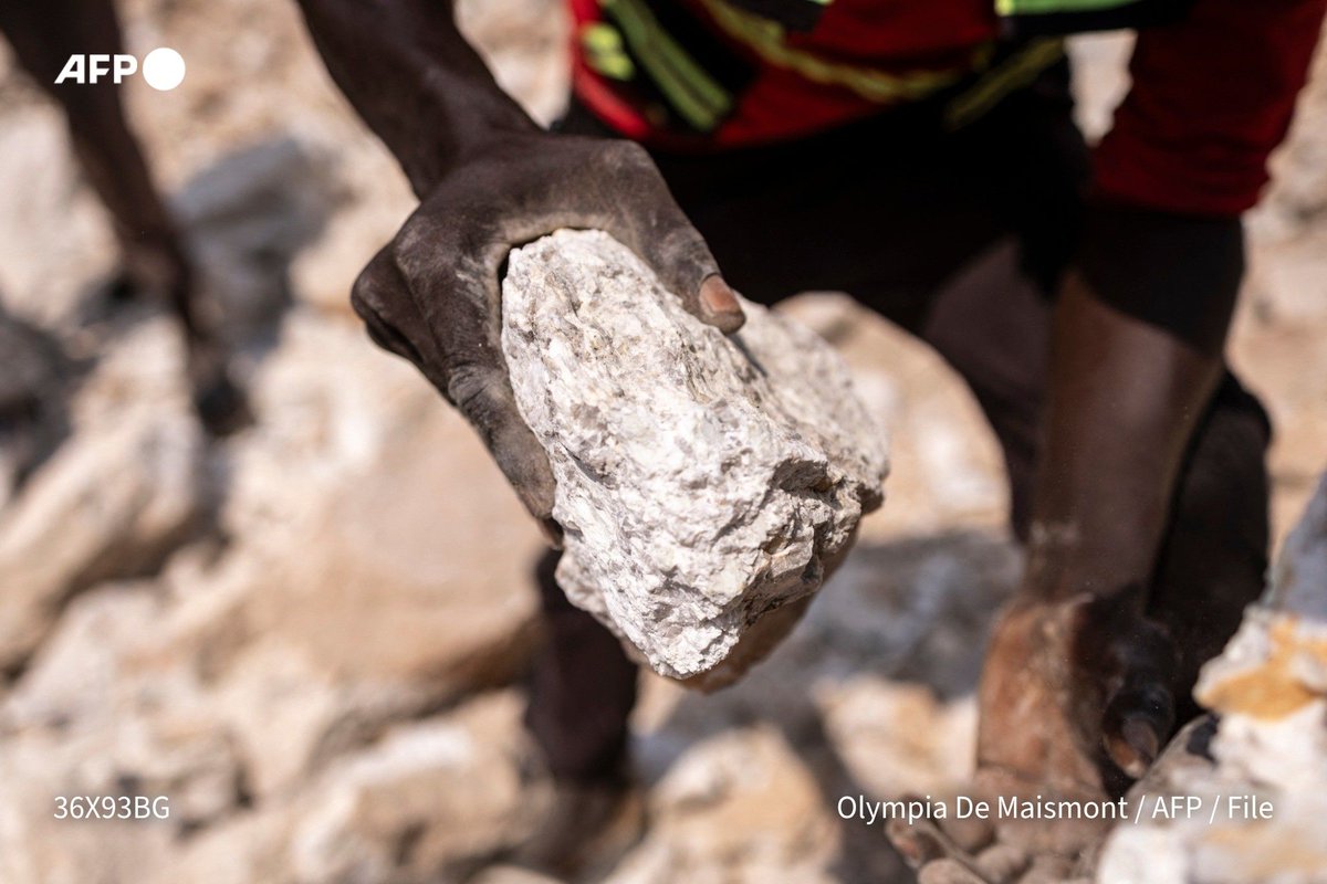 🇳🇬 ⛏️ Poor jail conditions led to the deaths of more than 30 miners arrested on suspicion of illegal gold mining in…