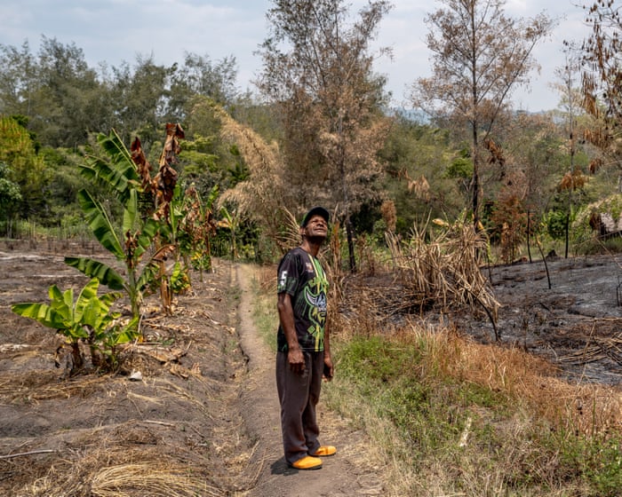 El Niño-driven drought in Papua New Guinea a ‘national crisis’ as rivers dry up and local farms fail As many as 8…