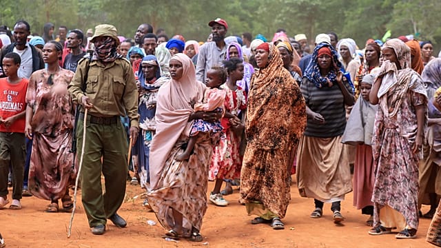 Gunfire heard across Ethiopia border as growing numbers flee into Kenya Gunfire echoes across the Ethiopia-Kenya…