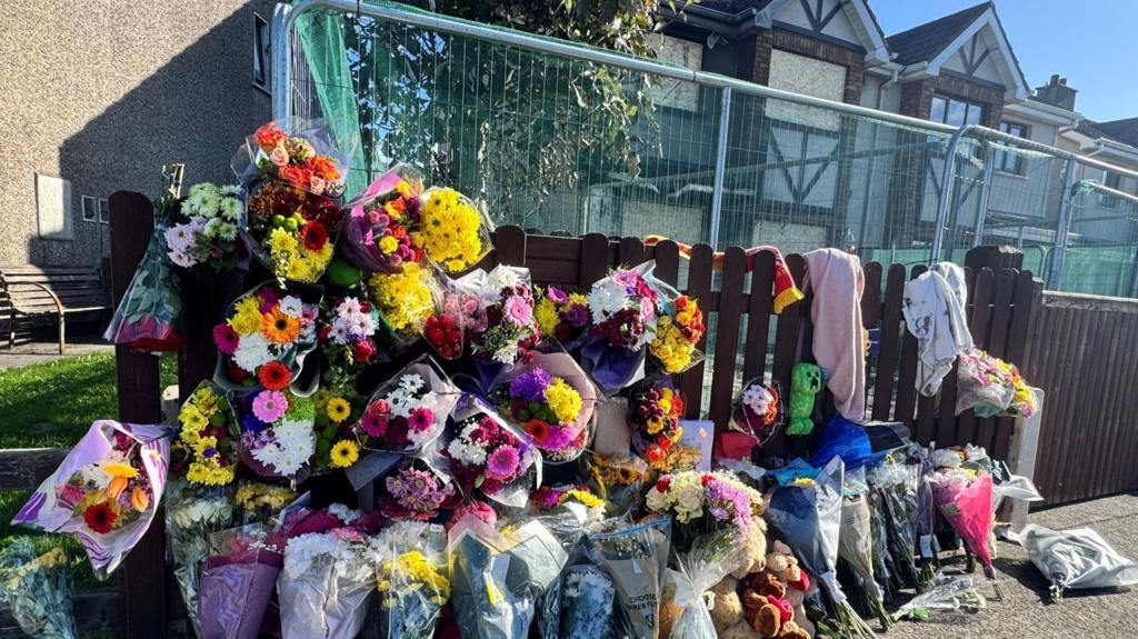 Three released without charge after fatal arson attack in Ireland Three people - two women and one man - have been…