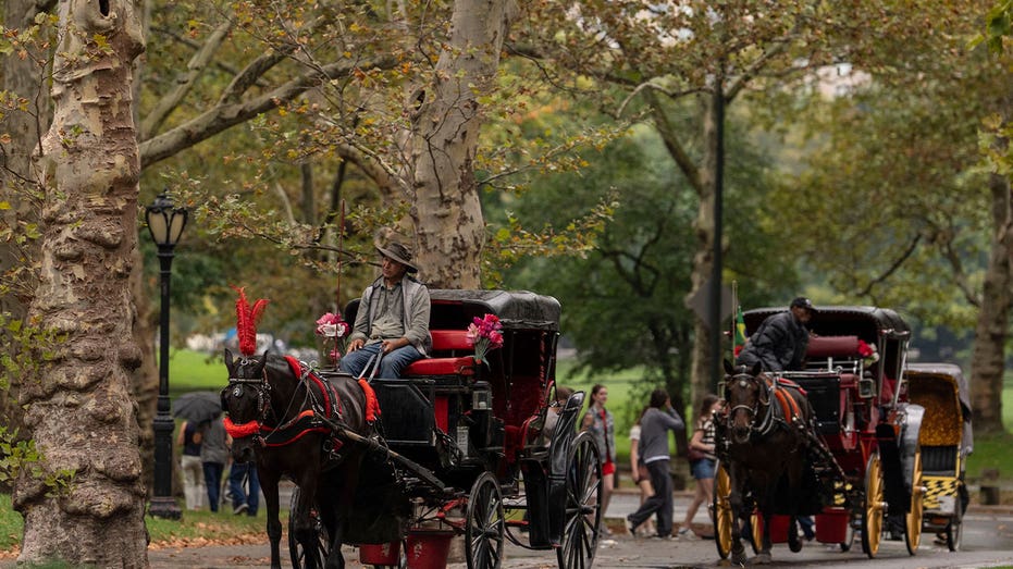 NYC votes to end nearly 170-year-old horse carriage tradition as Trump blasts ban, drivers threaten lawsuit The…