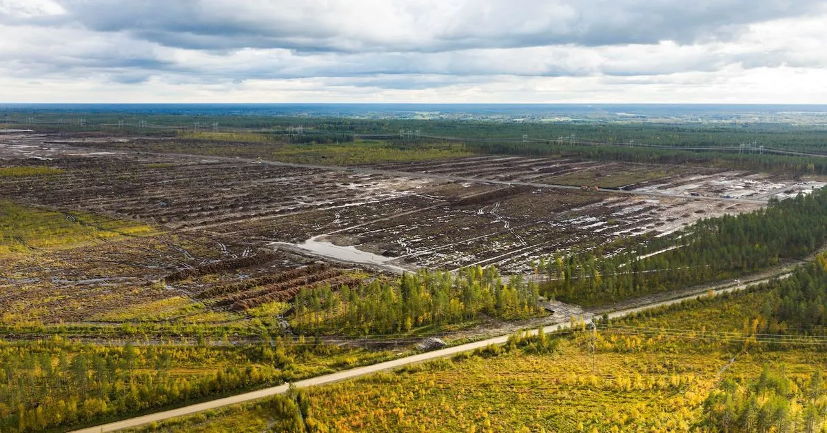 Finland launches criminal probe of suspected environmental damage at Google data centre site Finnish police said on…