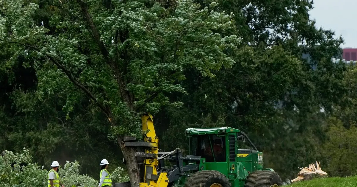 Judge blasts Trump's DOJ over 'inexcusable' tree removal at DC golf course A US judge said on Monday that she was…