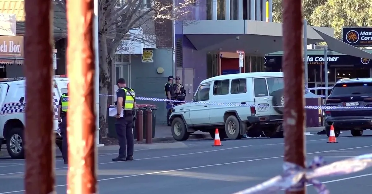 Australian MP Helen Haines was in critical but stable condition after surgery; Albanese said the car made a U-turn first