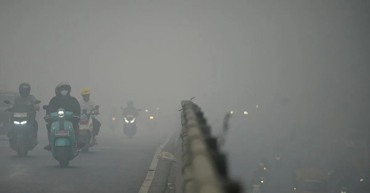 Indonesia blames peatland degradation for raging fires, vows restoration Indonesia has blamed peatland degradation by…