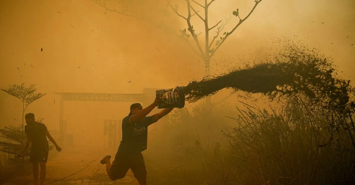 Wildfires spread into residential areas in Indonesia's Bangka Belitung, destroying over 300 houses Forest and land…