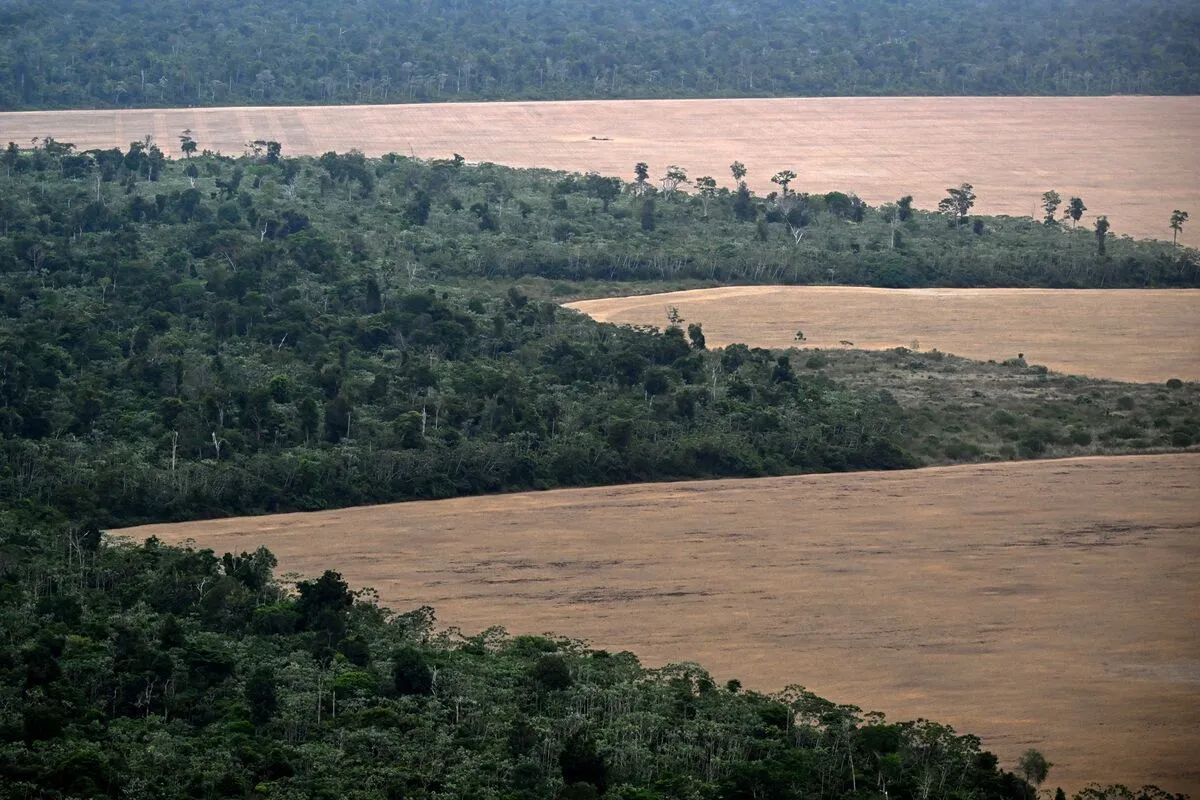 Brazil registered the lowest Amazon deforestation rate on record over the past year, allowing President Luiz Inácio…
