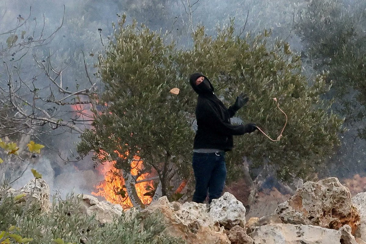 Israeli settlers have carried out a pogrom, attacking Palestinian olive harvesters and activists in the town of…
