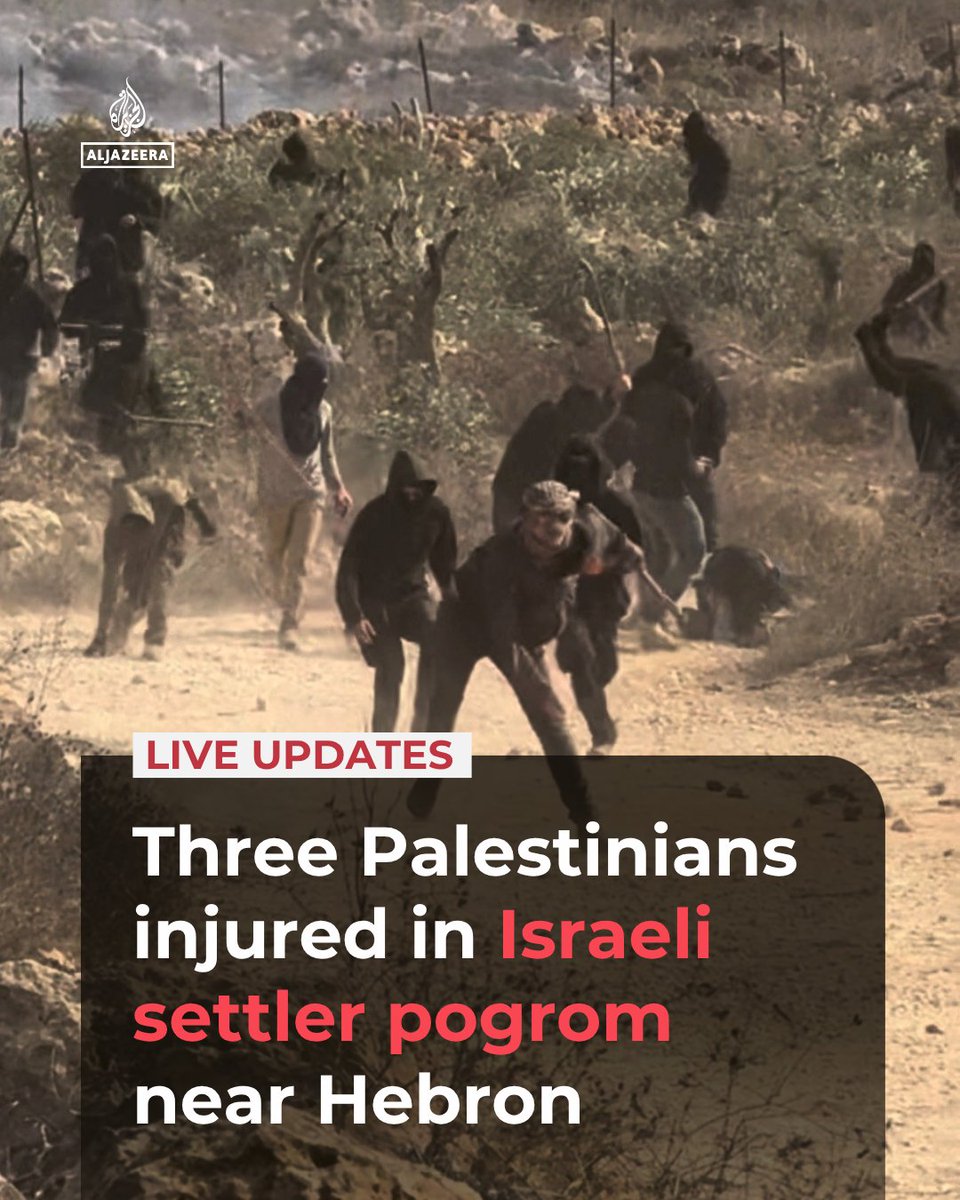 Settlers attack European diplomats in Taybeh as olive-harvest violence tops all of 2025