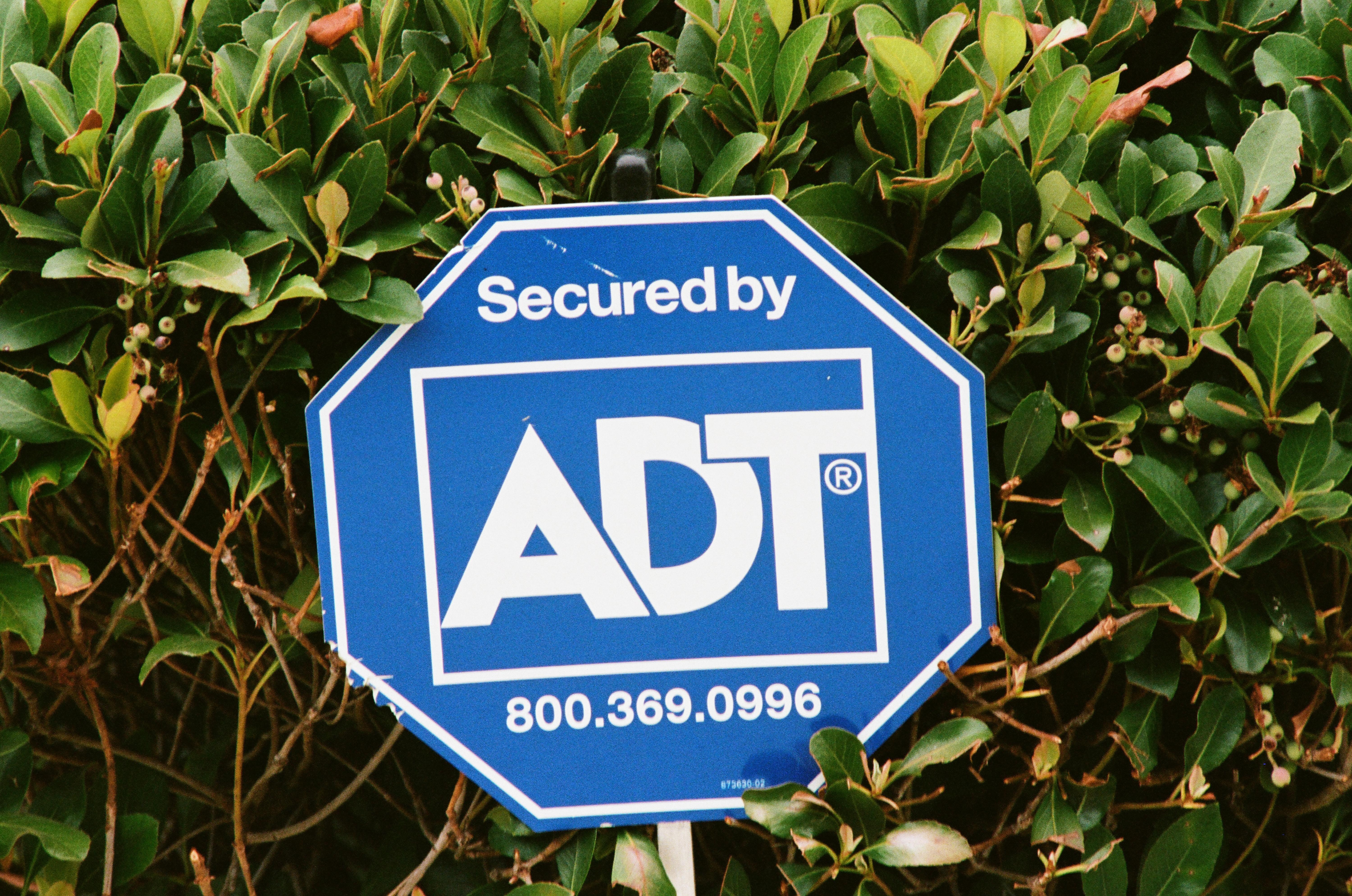 Joshua Kushner’s Thrive Holdings is acquiring ADT for $7.6 billion The Joshua Kushner-led Thrive Holdings is acquiring…