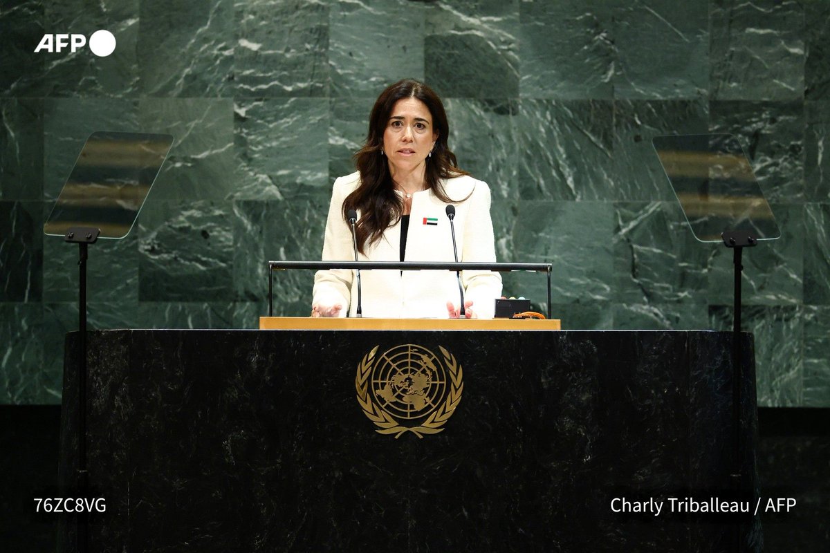 UAE nominates foreign ministry official Lana Nusseibeh to be next UN secretary-general, as current candidates face…