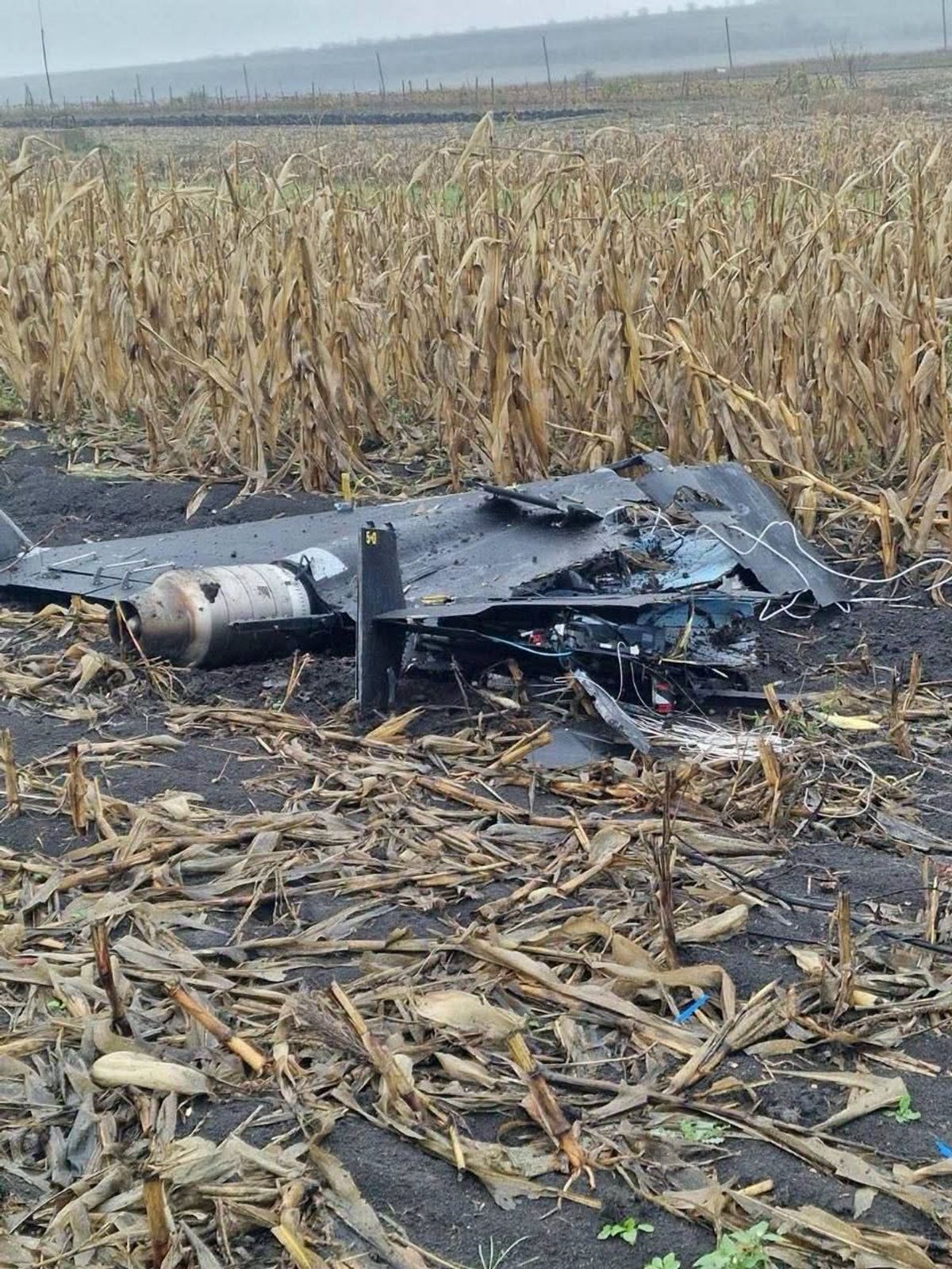 Moldova expels Russian diplomat after Russian Geran drone falls near family homes 'Russia's war keeps putting Moldovan…
