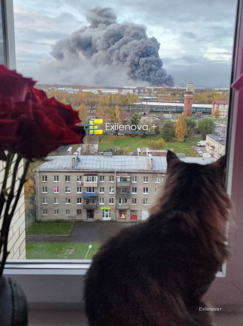 **Кадры атаки на Петербург и Ленинградскую область ** На последней фотографии — удар украинского беспилотника в мост…
